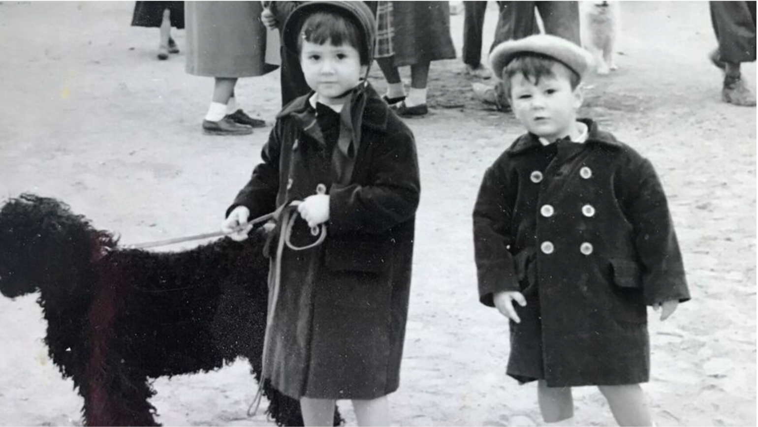 Image: /images/articulos/historia-ripoll/img-8.png