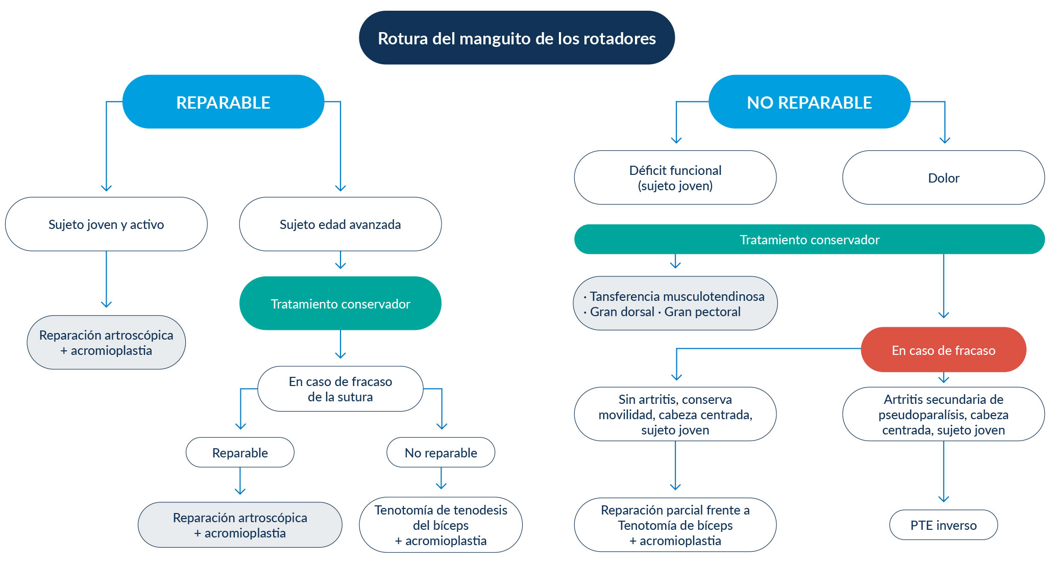 Image: /images/articulos/hombro/10_preguntas_clave_lesion_manguito_rotadores/img-5.jpg